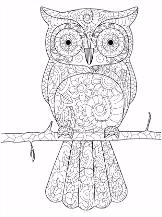 Kleurplaten Coco Uil Op Een Tak Coloring Boek Vector Voor Volwassenen T2iq03gai8 Ihzy0ukvr4