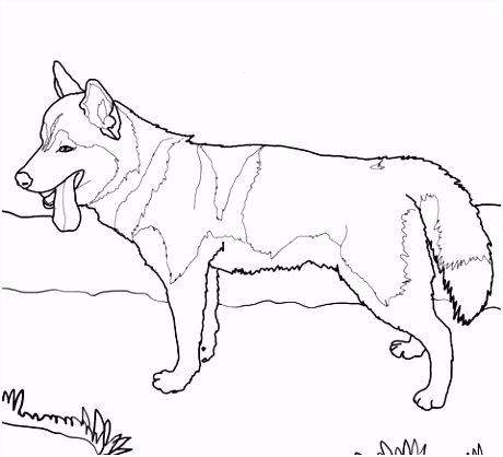 Kleurplaten Deense Dog Siberian Husky Dog Coloring Page Quilting T6nd61hts4 H4rsmuarwm