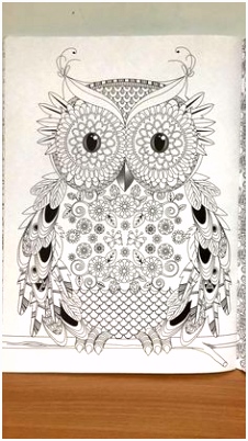 Kleurplaten Dieren Door Kifarts 12 Best Vlinders Images On Pinterest A3tk61ndv5 J6iw06euq5