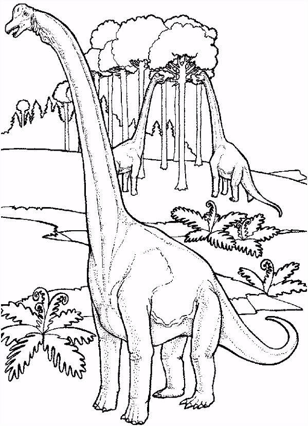 Kleurplaten Dinosaurus Dinosaurus Kleurplaat Dieren Kleurplaat Animaatjes H6aq76ype3 T4ormuedn5