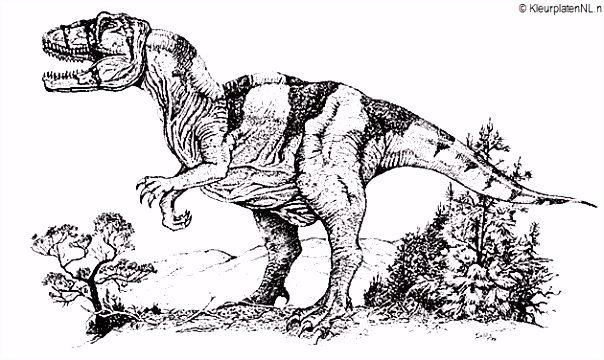 Kleurplaten Dinosaurus Dinosaurus Kleurplaat Kleurplaten 524 Kleurplaat Kleuren T5de77ulf8 B5nq05hess