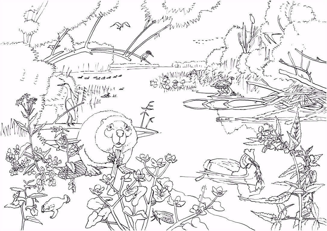 Kleurplaten Dinosaurussen Geweldige Kleurplaten Hard Geweldige Dinosaurus Kleurplaat Printen G8zk69sat2 U5pb42nfb4