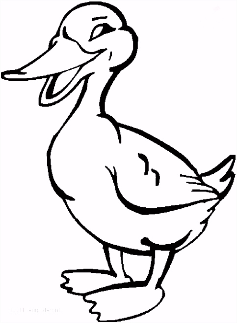 Kleurplaten Eendjes 1001 Kleurplaten Dieren Vogels Kleurplaat Broedende Eendje V7yb56ndl8 Uhyl56zse5