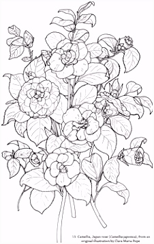 Kleurplaten Fantasie Dieren Wonderful Cherry Blossom and Birds Coloring Page A Preview From the Z1px45zpi0 Hhtu24cllu