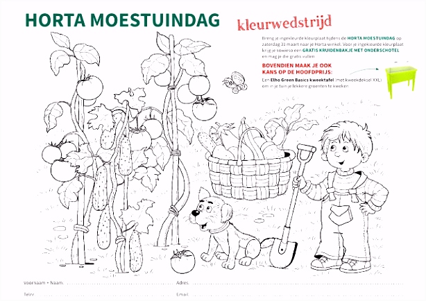 Kleurplaten Feeen Horta Dendauw Kuurne Kleurplaat Moestuindag 2018 O8oe55nvc2 Ssnjhsovl2