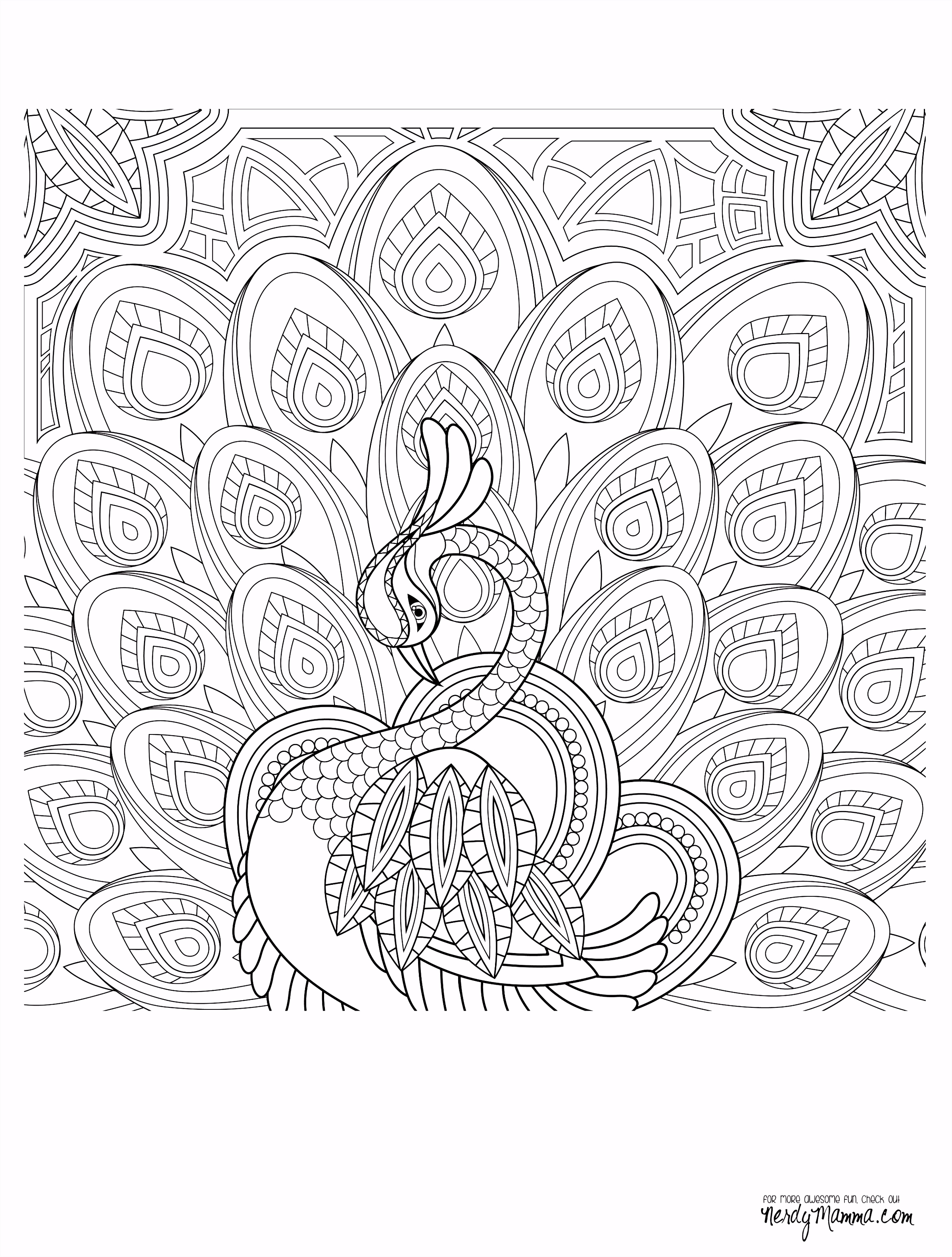 Kleurplaten Franklin Peacock Feather Coloring Pages Colouring Adult Detailed Advanced O6wi79wmf2 D6pluhwlzh
