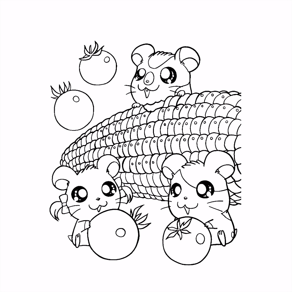 Kleurplaten Hamster Leuk Voor Kids Y8ya41mrn4 Esmk2mshw4