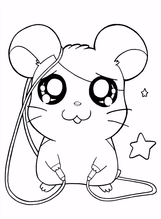 Kleurplaten Hamster Schattige Rtjes Kleurplaten Google Zoeken Y1yh99zle9 H2uevublav