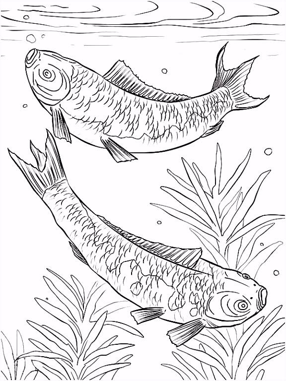 Kleurplaten Handy Manny ë¦¬ì ë² Coloring Pages Y1md44ihn8 Imqx5sjlgs