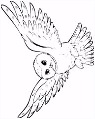 Kleurplaten Harry Potter En De Geheime Kamer Resultado De Imagem Para Coruja Harry Potter Desenho G3oe75hhd6 V5ge26bju0