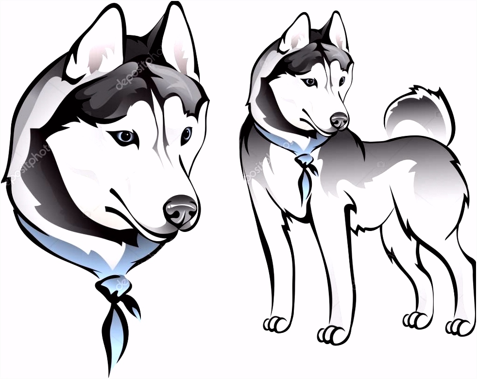 Kleurplaten Herdershond 20 Idee Tekening Husky Hond Win Charles M6jg83hdd3 Q6qa4hltk5