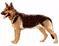 Kleurplaten Herdershond Herdershond Honden Plaatjes Animaatjes D5jt59zan3 H2dv0sjkd2