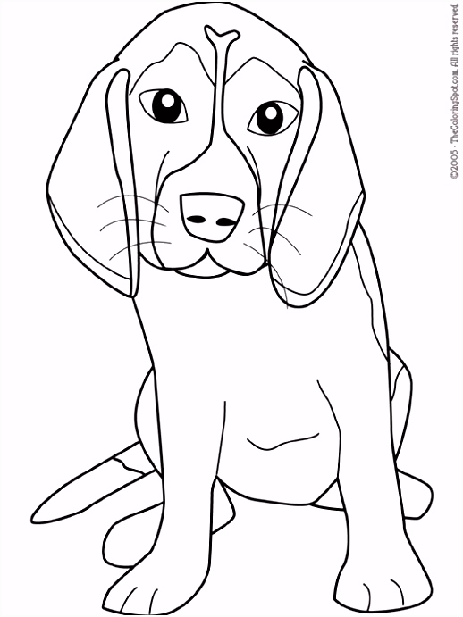 Kleurplaten Honden Coloring Dogs 34 Best Xerox Pinterest Exit Z7es99ayg3 C6qt2msqq2