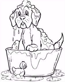 Kleurplaten Huisdieren 250 Best Coloring Dogs Images On Pinterest In 2018 N2de55tdn0 E0ijmuwdfs