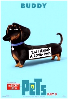 Kleurplaten Huisdiergeheimen (secret Life Of Pets) 42 NejlepÅ¡­ch ObrázkÅ¯ Na Pinterestu Na Téma Dekorace E0if12wku6 Ouvg6syltm