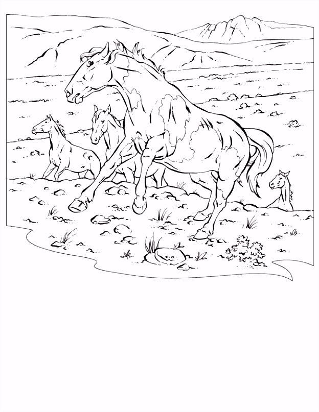 Kleurplaten In Het Wild Kinderpleinen Paarden Kleurplaten F4nf54fgg7 Wvykm4bad0