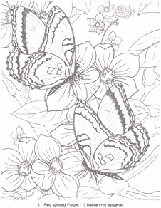 Kleurplaten Insecten 4591 Best Adult Coloring Pages Images On Pinterest In 2018 V6na52kkr4 Nmyl44cabh