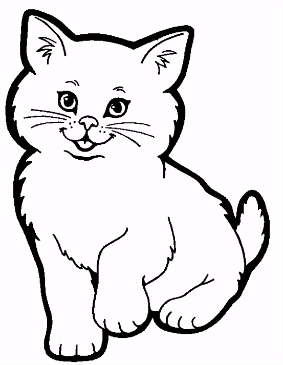 Kleurplaten Kat Mooie Kleurplaat Kat Poes Kleurplaten L6uh22rfa6 Kmbymsczwh