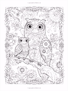 Kleurplaten Kerstmis (nog Meer) 10 Beste Afbeeldingen Van Uil Kleurplaten In 2018 Coloring Books X7oa64cuk5 J4un04xlws