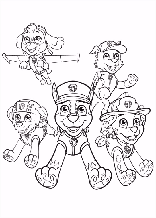 Kleurplaten Klokkenluider Van De Notre Dame Paw Patrol Kleurplaat Kleurplaten 7 Kleurplaat Kleuren J5qx28ipy3 V0cg64ehlu