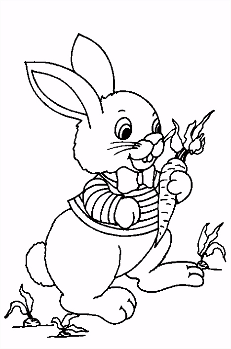 Kleurplaten Konijn Kleurplaat Konijn Coloring Pages Pinterest O6mn94scb6 Jmmjumgqiu