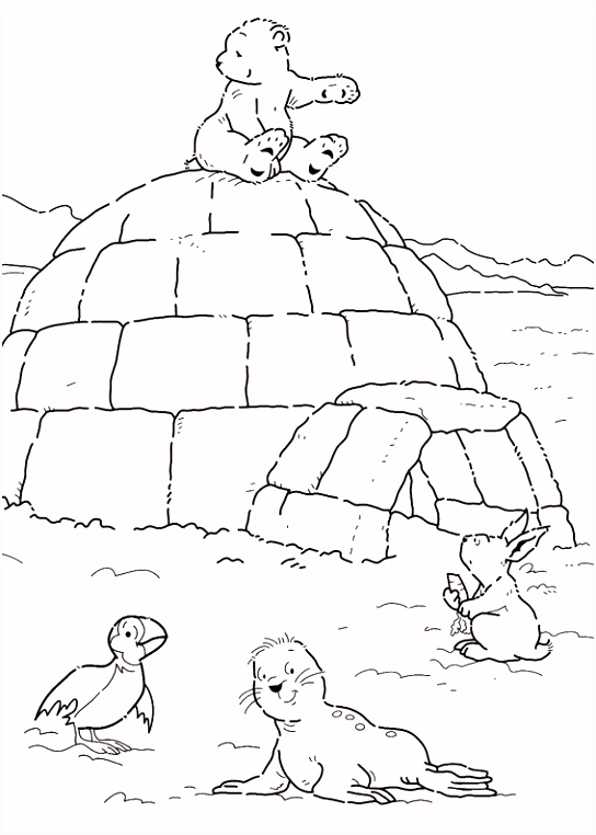 Kleurplaten Lars De Kleine Ijsbeer Op Avontuur Print Kleine Ijsbeer Op Iglo Kleurplaat Winter A5uu32irf4 Uvni6hheth
