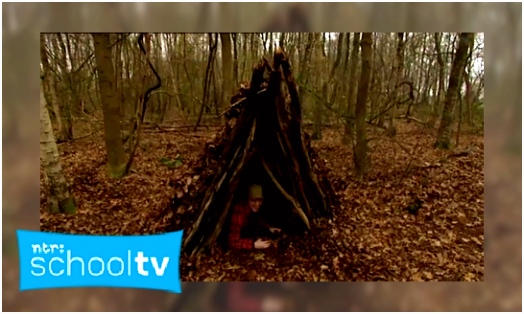 Kleurplaten Lorax En Het Verdwenen Bos Jeugdbieb D5ii52xfu9 Ivihsstwqu
