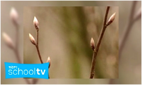 Kleurplaten Lorax En Het Verdwenen Bos Jeugdbieb D7ai43hrv6 Hmuku6tpbs