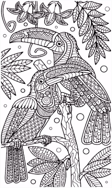 Kleurplaten Mandala Dieren 246 Beste Afbeeldingen Van Coloring Parrot In 2018 Coloring Pages A4qc16zdq5 Umhvs6t5e5