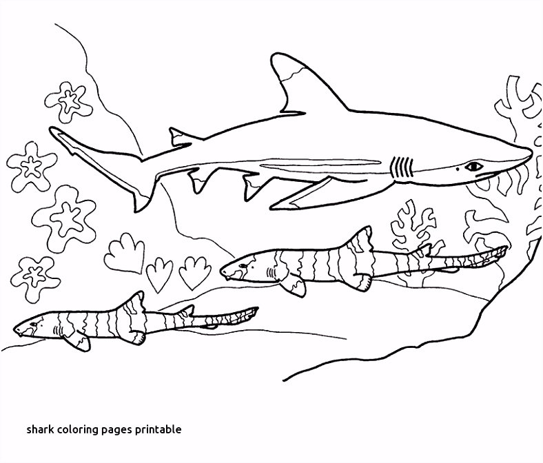 Kleurplaten Monster Trucks Cool Car Coloring Page Coloring Pages Cars Kleurplaat Cars 0d R0yd95byu4 T5we26yfju