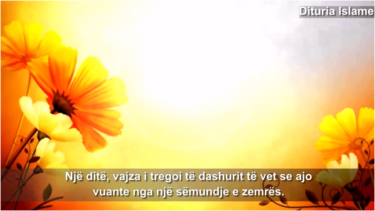 Kleurplaten Neopets Brightvale Foto Me Poezi Dashurie 2012 A1xu62cbs5 H2jh06wks5
