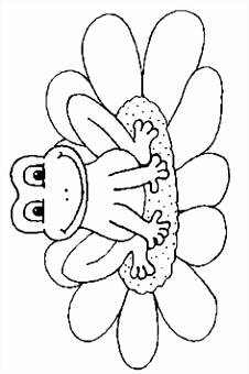 Kleurplaten Ninja Turtles 1075 Best Frogs Ribbit toads Turtles Snails Images On Pinterest X9mg95xfc3 Buqt25dky6
