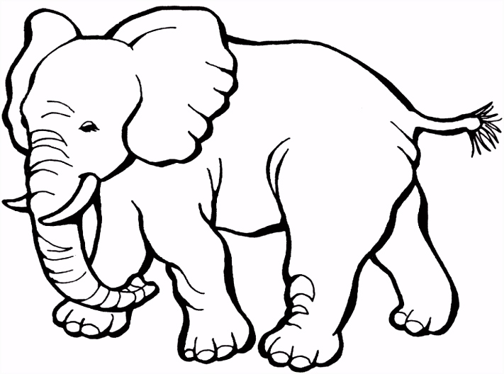 Kleurplaten Paarden 7 Elephant to Color H1yo15nll5 R5tov2ajvv