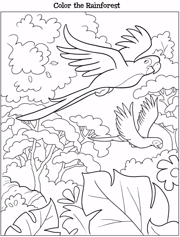 Kleurplaten Papegaai Papegaaien Vogels Kleurplaten S3nd19sky6 T6ykvvixo2