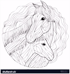 Kleurplaten Pegasus 594 Beste Afbeeldingen Van Coloring Horse Zebra In 2018 Animal U3yg18uau6 G6mo6vekr6