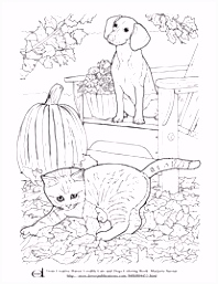 Kleurplaten Pet Parade 74 Best Coloring Books for Adults Images On Pinterest In 2018 N5rh75ern6 B6aev4ilb4