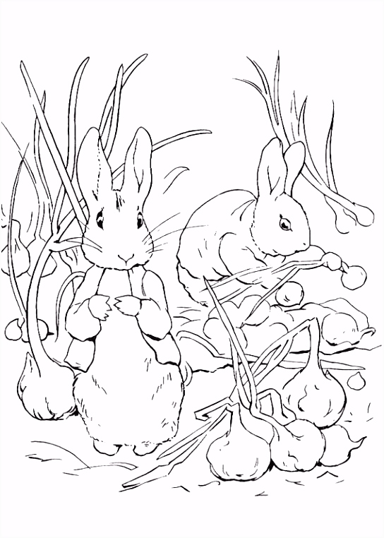 Kleurplaten Pieter Konijn Of Peter Rabbit 2018 Kleurplaten En Zo Kleurplaat Van Pieter Konijn W2zz05ser3 Mmvqv6x4n4