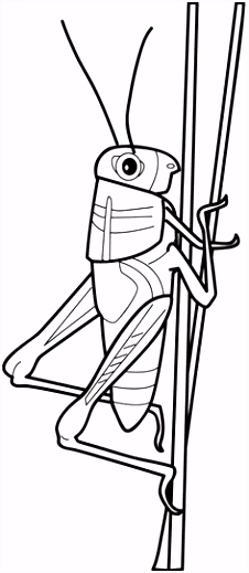 Kleurplaten Piraten 174 Beste Afbeeldingen Van Kleurplaten In 2018 Coloring Pages C6op44uxk5 Wvbih5vfys