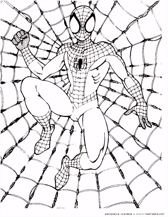Kleurplaten Printen 55 Mooi Spiderman Kleurplaat Afbeeldingen S1cs56nke7 Tuds2uitvu