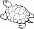8 Kleurplaten Schildpad