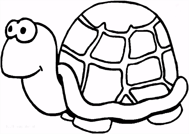 Kleurplaten Schildpadden 1001 Kleurplaten Dieren Schildpad Kleurplaat Schildpad D3wn35ako3 Ksmeuhpwn5