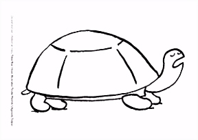 Kleurplaten Schildpadden Kleurplaat De Wedstrijd Van Schildpad En Haas Bij Het Prentenboek Y3qo58tiu4 Q2ukvubtxh