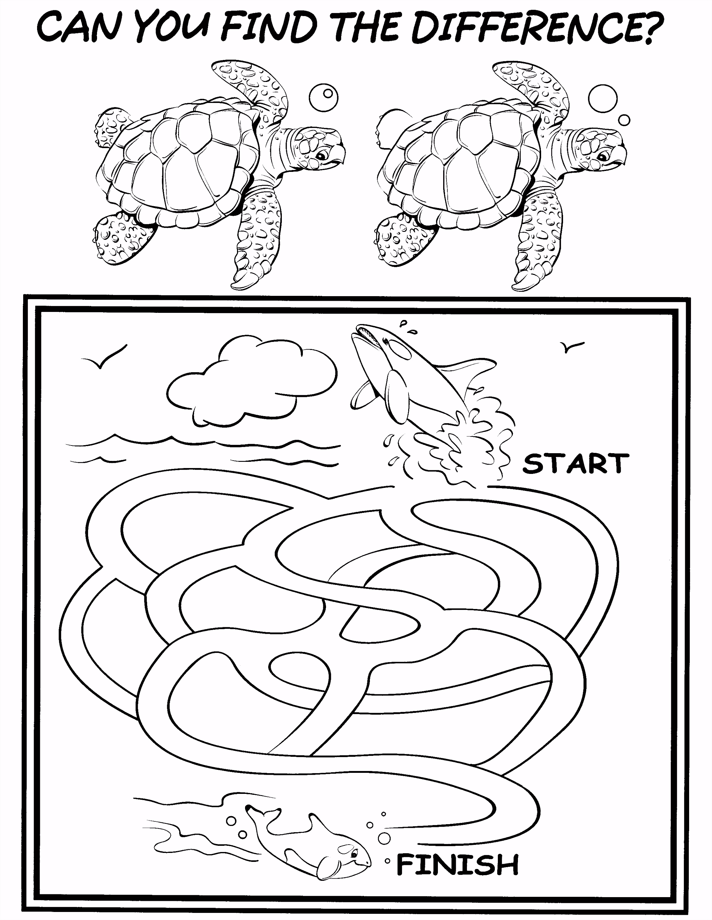 Kleurplaten Schildpadden Kleurplaten Paradijs Kleurplaat Schildpad H2we42kfi3 Iubom4lut5