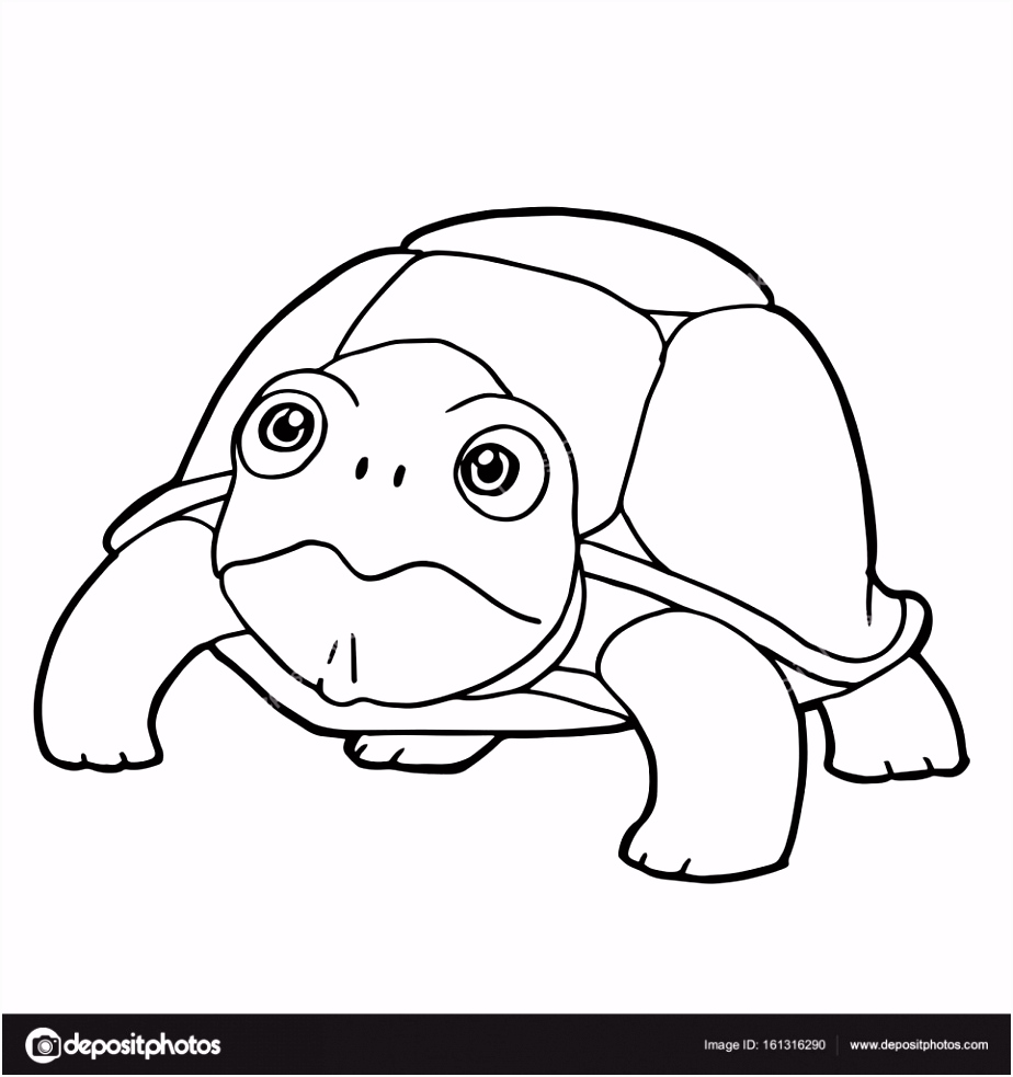 Kleurplaten Schildpadden Schattige Schildpad Tekenfilm Kleurplaten Pagina Vector R1bt62wsf3 C6ixumwde4