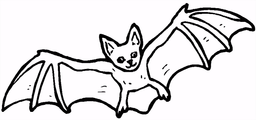 Kleurplaten Skylander Trap Team Bat Kleurplaten Beste Van Skylanders Trap Team Coloring Pages Q2qi12dae4 Wsqds4bha6