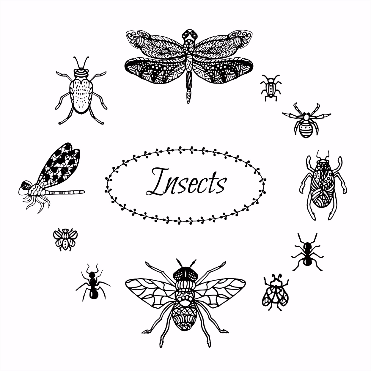 Kleurplaten Spinnen Hand Getrokken Insect In Stijl Zwarte Inkt Libel Insecten Spinnen N9vz61ece3 M2bgh2kwk6