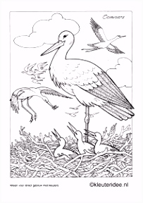 Kleurplaten Storks 123 Best Prolece Images On Pinterest In 2018 N2ek74wak8 Dsdx62igf4