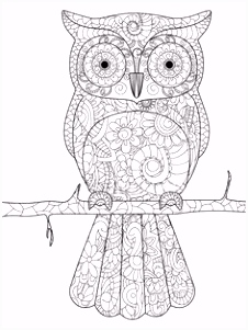 Kleurplaten Uilen 11 Beste Afbeeldingen Van Kleurplaten Uil Owls Coloring Books En O5xv21ddk3 Z4oe0mesbs