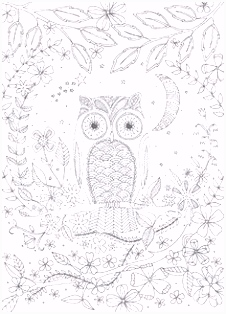 Kleurplaten Uilen 534 Beste Afbeeldingen Van Coloring Owl In 2018 Abstract Adult M6wg24qkx3 H6dau6enxh