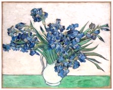 Kleurplaten Vincent Van Gogh 34 Best Art Van Gogh Irises Images On Pinterest In 2018 U3ts27dgb5 U6nyh60fl0